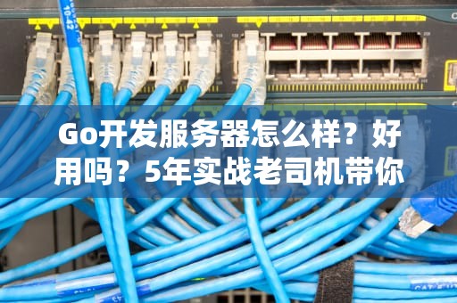 Go开发服务器怎么样？好用吗？5年实战老司机带你避坑！