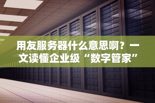 用友服务器什么意思啊？一文读懂企业级“数字管家”的奥秘！