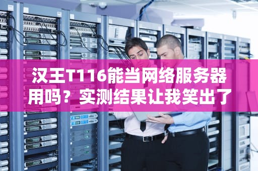 汉王T116能当网络服务器用吗？实测结果让我笑出了猪叫！