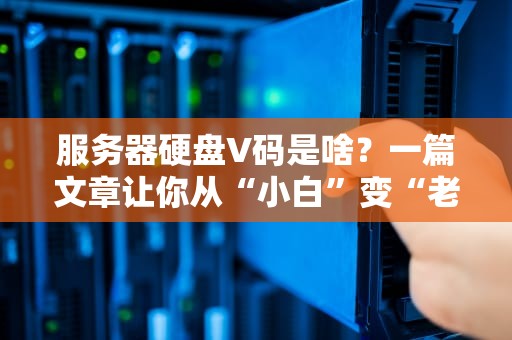 服务器硬盘V码是啥？一篇文章让你从“小白”变“老司机”！