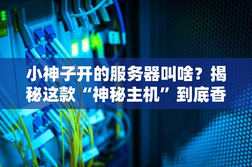 小神子开的服务器叫啥？揭秘这款“神秘主机”到底香不香！