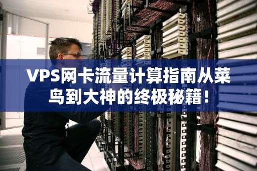 VPS网卡流量计算指南从菜鸟到大神的终极秘籍！