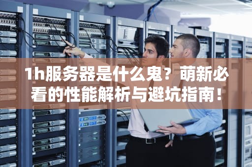 1h服务器是什么鬼？萌新必看的性能解析与避坑指南！