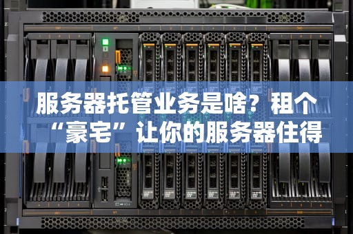 服务器托管业务是啥？租个“豪宅”让你的服务器住得舒舒服服！