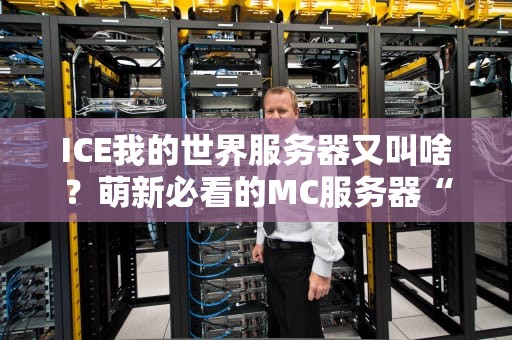 ICE我的世界服务器又叫啥？萌新必看的MC服务器“黑话”科普指南