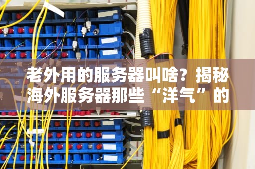 老外用的服务器叫啥？揭秘海外服务器那些“洋气”的名字！