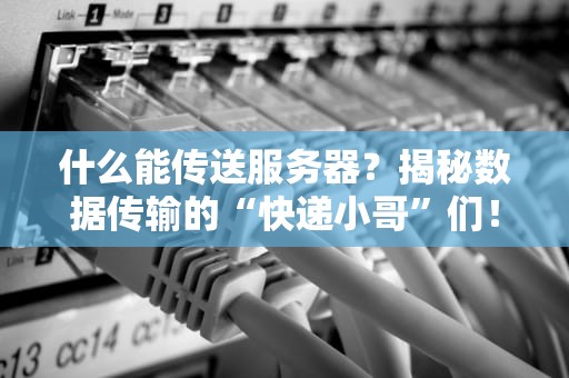 什么能传送服务器？揭秘数据传输的“快递小哥”们！