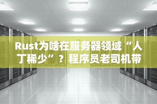 Rust为啥在服务器领域“人丁稀少”？程序员老司机带你深扒真相！