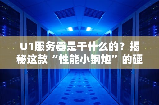 U1服务器是干什么的？揭秘这款“性能小钢炮”的硬核用途！
