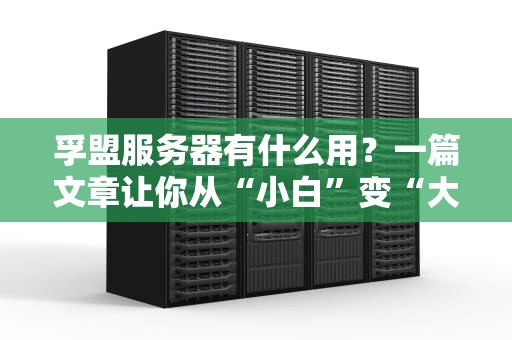 孚盟服务器有什么用？一篇文章让你从“小白”变“大神”！