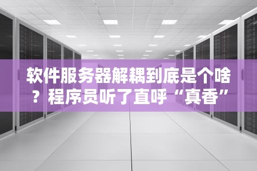 软件服务器解耦到底是个啥？程序员听了直呼“真香”！
