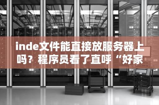 inde文件能直接放服务器上吗？程序员看了直呼“好家伙”！