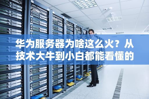 华为服务器为啥这么火？从技术大牛到小白都能看懂的深度解析！