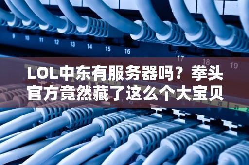 LOL中东有服务器吗？拳头官方竟然藏了这么个大宝贝！