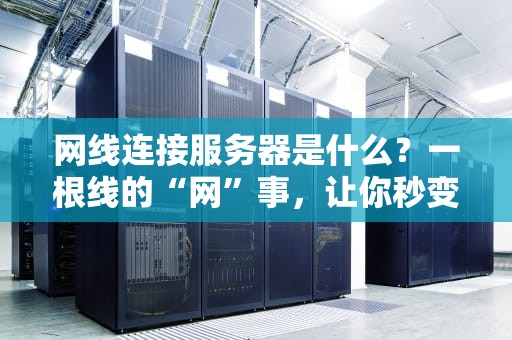 网线连接服务器是什么？一根线的“网”事，让你秒变技术大神！