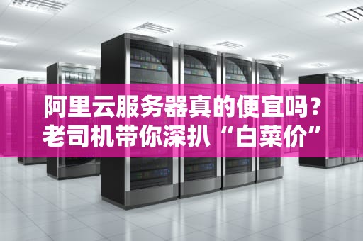 阿里云服务器真的便宜吗？老司机带你深扒“白菜价”背后的真相！