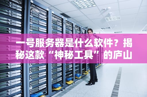 一号服务器是什么软件？揭秘这款“神秘工具”的庐山真面目！
