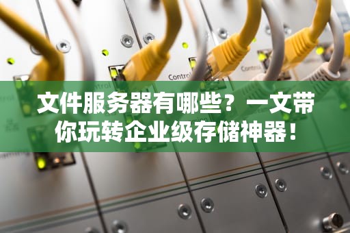 文件服务器有哪些？一文带你玩转企业级存储神器！