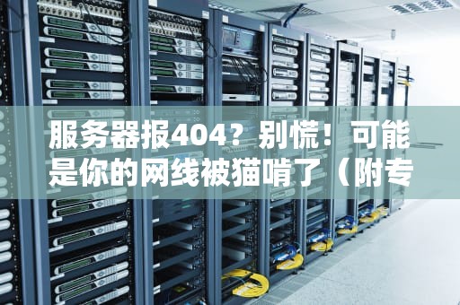 服务器报404？别慌！可能是你的网线被猫啃了（附专业解决方案）