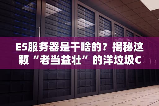 E5服务器是干啥的？揭秘这颗“老当益壮”的洋垃圾CPU如何逆袭成性价比之王！