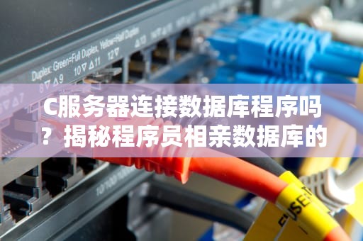 C服务器连接数据库程序吗？揭秘程序员相亲数据库的骚操作！
