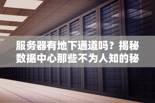 服务器有地下通道吗？揭秘数据中心那些不为人知的秘密通道！