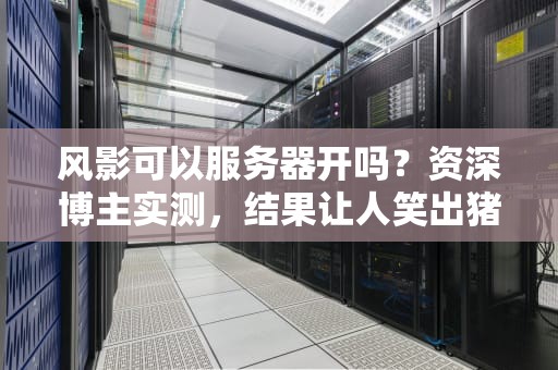 风影可以服务器开吗？资深博主实测，结果让人笑出猪叫！