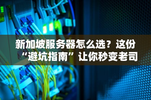 新加坡服务器怎么选？这份“避坑指南”让你秒变老司机！