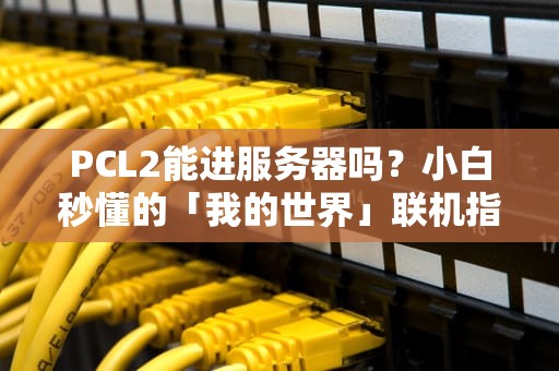 PCL2能进服务器吗？小白秒懂的「我的世界」联机指南！