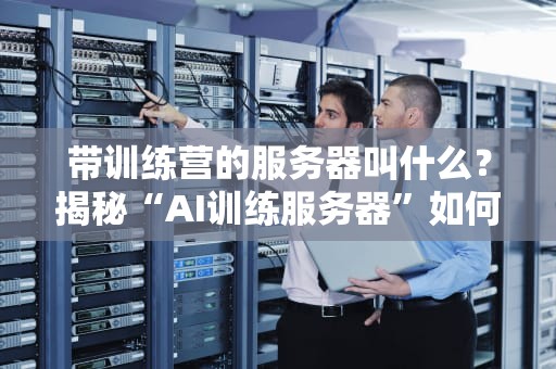 带训练营的服务器叫什么？揭秘“AI训练服务器”如何带飞你的模型！