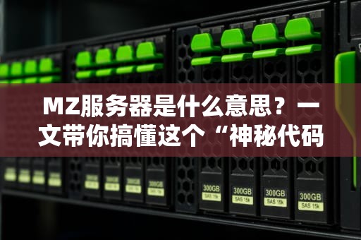 MZ服务器是什么意思？一文带你搞懂这个“神秘代码”背后的真相！
