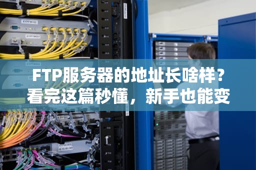 FTP服务器的地址长啥样？看完这篇秒懂，新手也能变老司机！