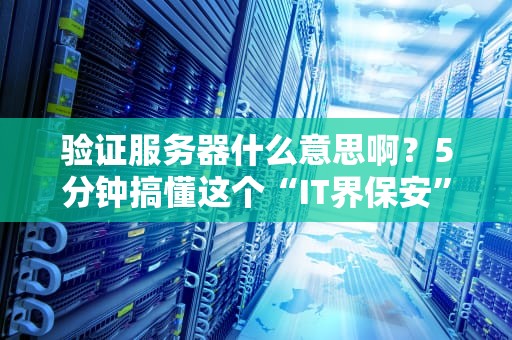 验证服务器什么意思啊？5分钟搞懂这个“IT界保安”的日常！