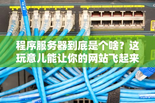 程序服务器到底是个啥？这玩意儿能让你的网站飞起来吗？