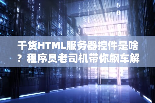干货HTML服务器控件是啥？程序员老司机带你飙车解析！