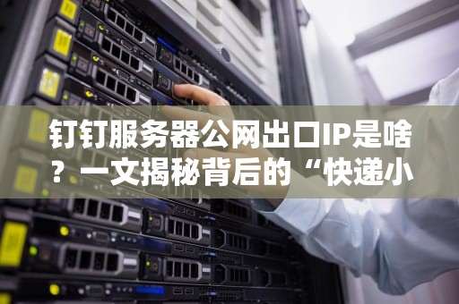 钉钉服务器公网出口IP是啥？一文揭秘背后的“快递小哥”和“高速路口”