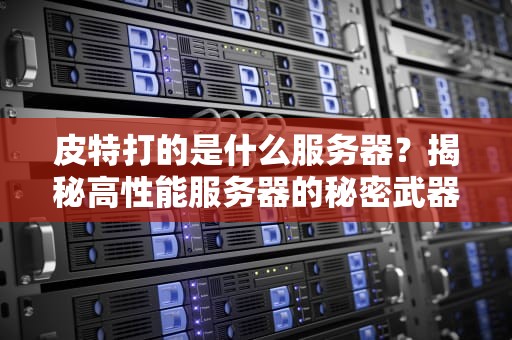皮特打的是什么服务器？揭秘高性能服务器的秘密武器！