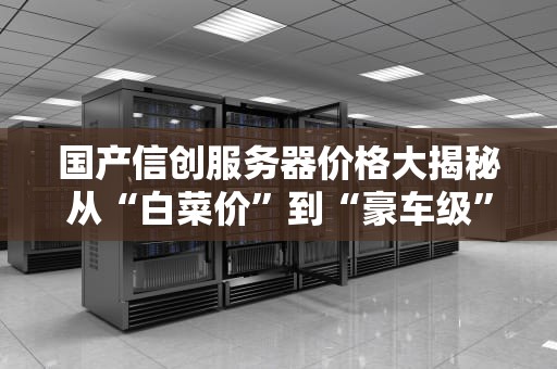 国产信创服务器价格大揭秘从“白菜价”到“豪车级”，你的业务该选哪一档？