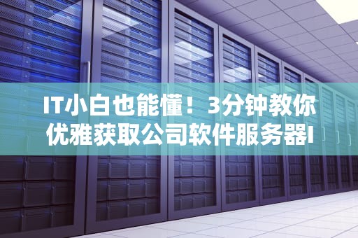 IT小白也能懂！3分钟教你优雅获取公司软件服务器IP地址