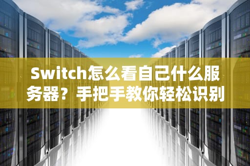 Switch怎么看自己什么服务器？手把手教你轻松识别，告别“跨服孤儿”尴尬！
