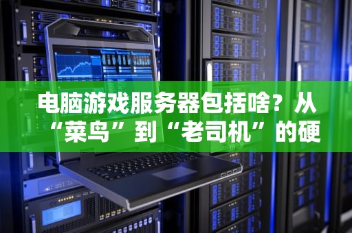 电脑游戏服务器包括啥？从“菜鸟”到“老司机”的硬核科普指南！