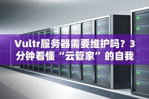 Vultr服务器需要维护吗？3分钟看懂“云管家”的自我修养！