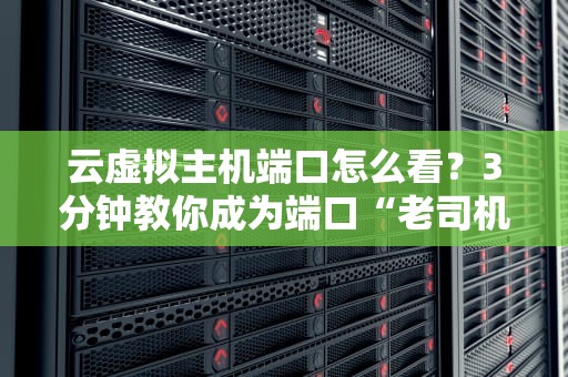 云虚拟主机端口怎么看？3分钟教你成为端口“老司机”！