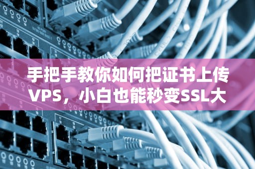 手把手教你如何把证书上传VPS，小白也能秒变SSL大神！