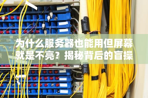 为什么服务器也能用但屏幕就是不亮？揭秘背后的盲操作玄机！