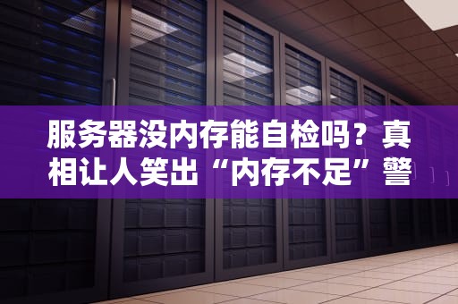 服务器没内存能自检吗？真相让人笑出“内存不足”警告！