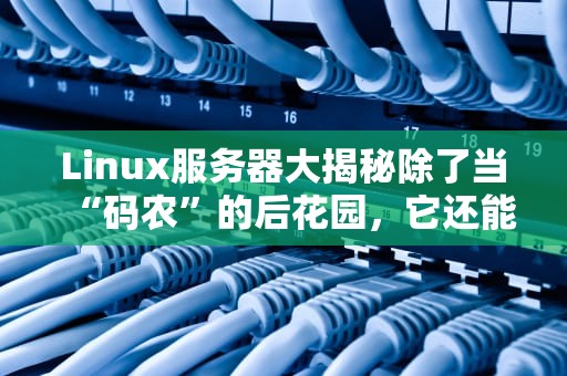 Linux服务器大揭秘除了当“码农”的后花园，它还能干啥？