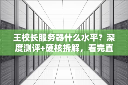 王校长服务器什么水平？深度测评+硬核拆解，看完直呼内行！