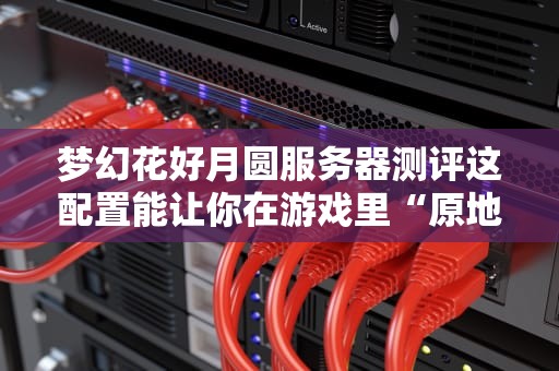 梦幻花好月圆服务器测评这配置能让你在游戏里“原地起飞”吗？