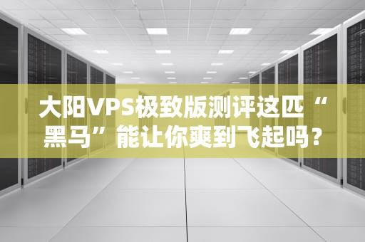 大阳VPS极致版测评这匹“黑马”能让你爽到飞起吗？